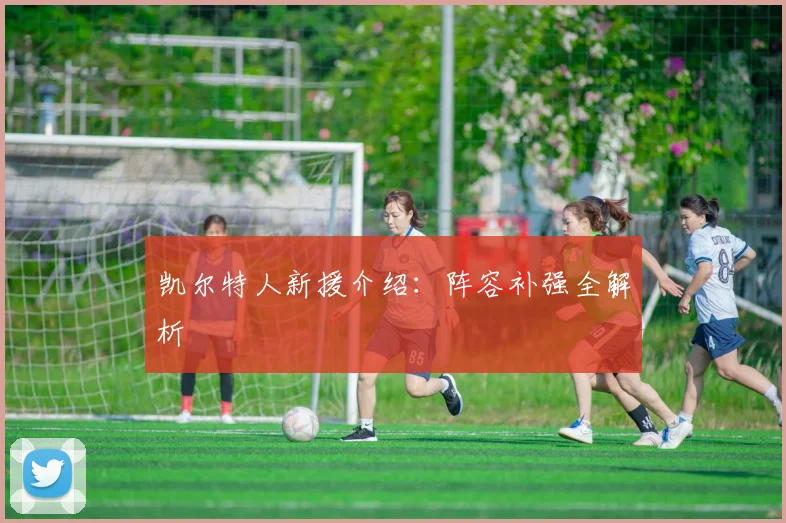 凯尔特人新援介绍：阵容补强全解析