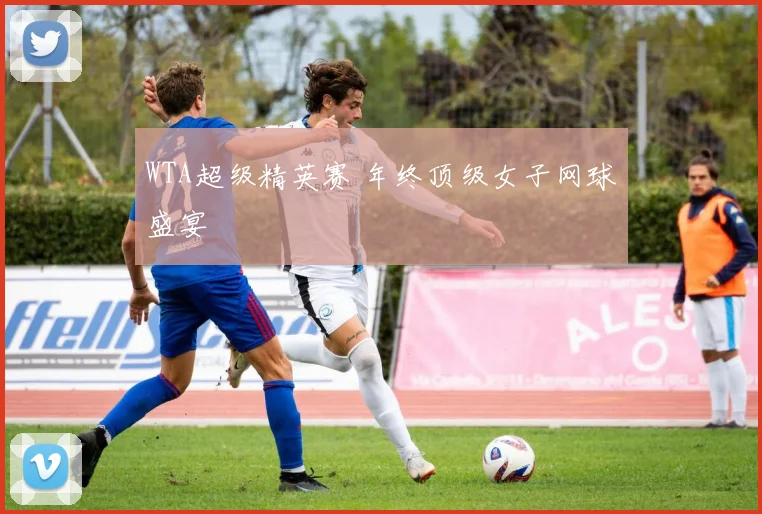 WTA超级精英赛 年终顶级女子网球盛宴
