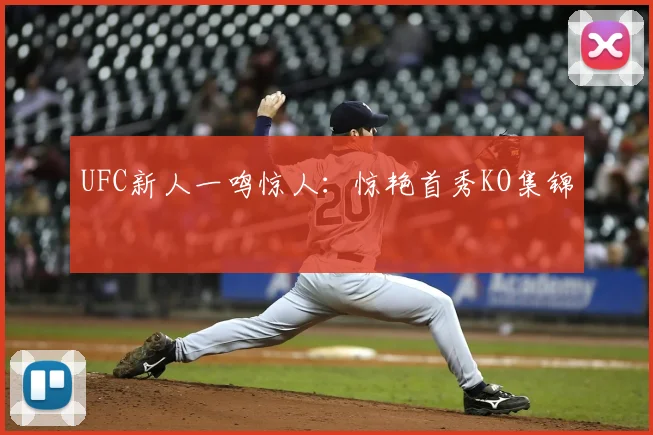 UFC新人一鸣惊人：惊艳首秀KO集锦