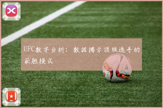 UFC数字分析：数据揭示顶级选手的获胜模式