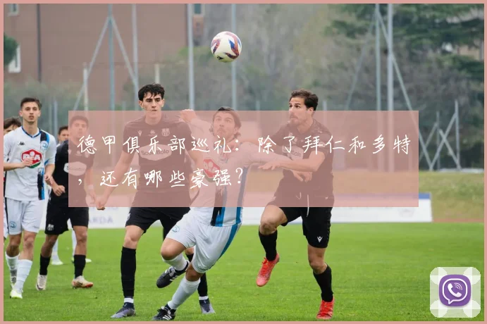德甲俱乐部巡礼:除了拜仁和多特,还有哪些豪强?