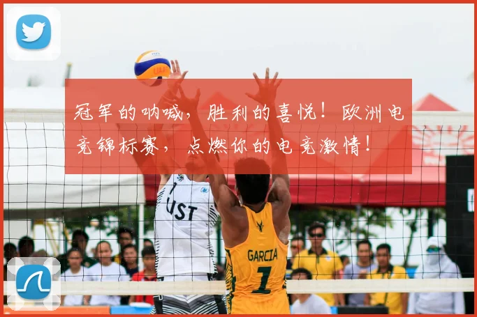 冠军的呐喊,胜利的喜悦!欧洲电竞锦标赛,点燃你的电竞激情!