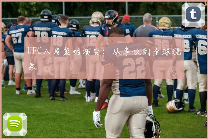 UFC八角笼的演变：从争议到全球现象