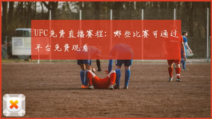 UFC免费直播赛程:哪些比赛可通过平台免费观看