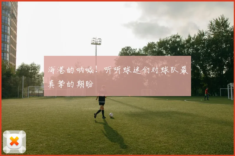海港的呐喊！听听球迷们对球队最真挚的期盼
