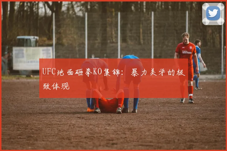 UFC地面砸拳KO集锦：暴力美学的极致体现