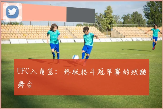 UFC八角笼：终极格斗冠军赛的残酷舞台