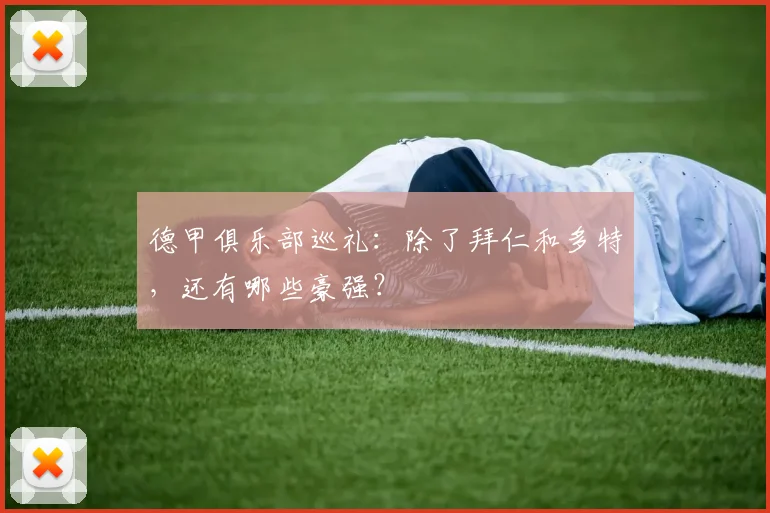 德甲俱乐部巡礼：除了拜仁和多特，还有哪些豪强？