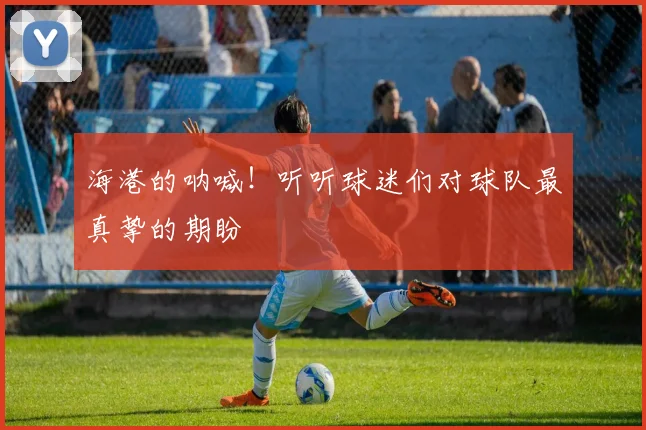 海港的呐喊！听听球迷们对球队最真挚的期盼