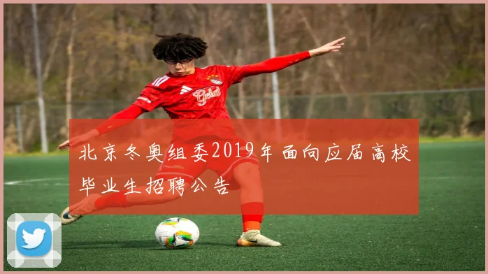 北京冬奥组委2019年面向应届高校毕业生招聘公告