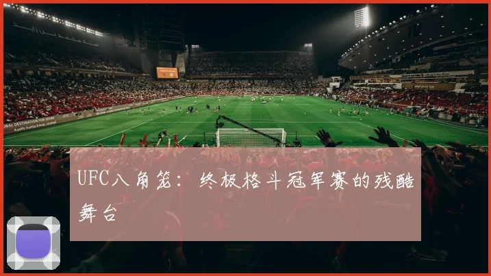 UFC八角笼：终极格斗冠军赛的残酷舞台