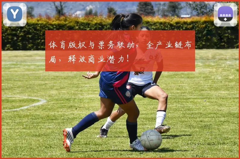 体育版权与票务联动，全产业链布局，释放商业潜力！