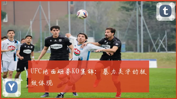 UFC地面砸拳KO集锦：暴力美学的极致体现