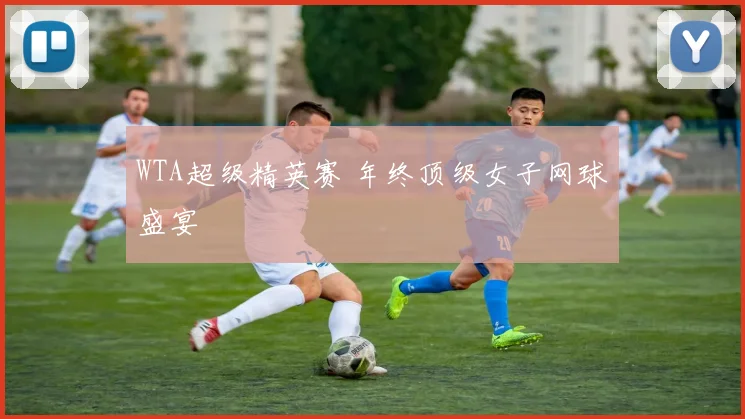 WTA超级精英赛 年终顶级女子网球盛宴