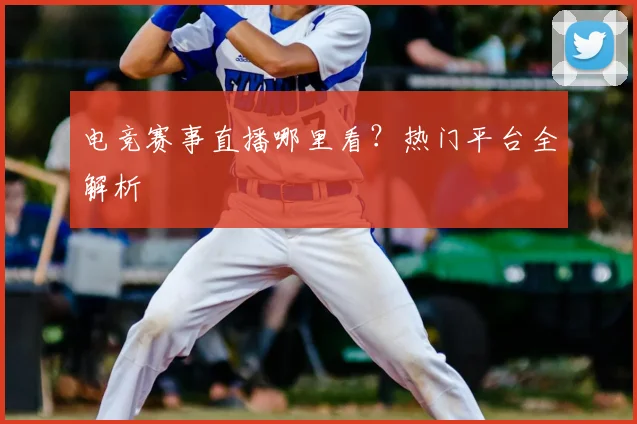 电竞赛事直播哪里看？热门平台全解析
