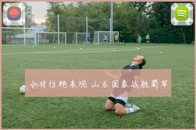 小将惊艳表现 山东国象战胜蜀军