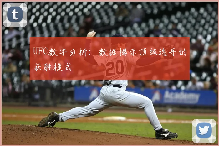 UFC数字分析:数据揭示顶级选手的获胜模式