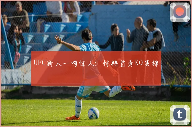 UFC新人一鸣惊人：惊艳首秀KO集锦